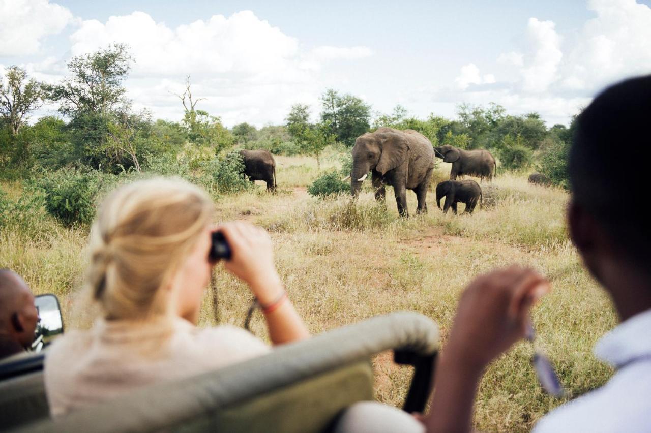 Tanda Tula Safari Camp Villa Timbavati Game Reserve Eksteriør billede