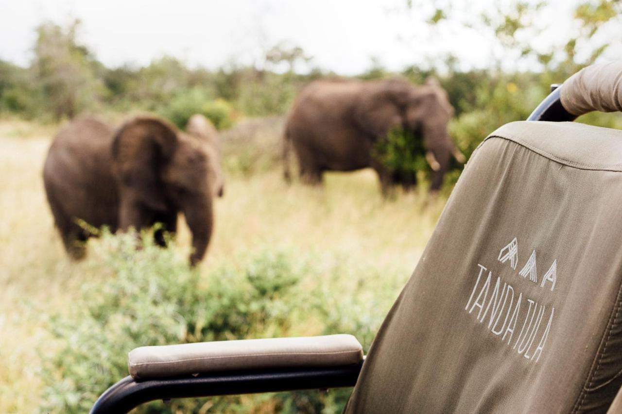 Tanda Tula Safari Camp Villa Timbavati Game Reserve Eksteriør billede